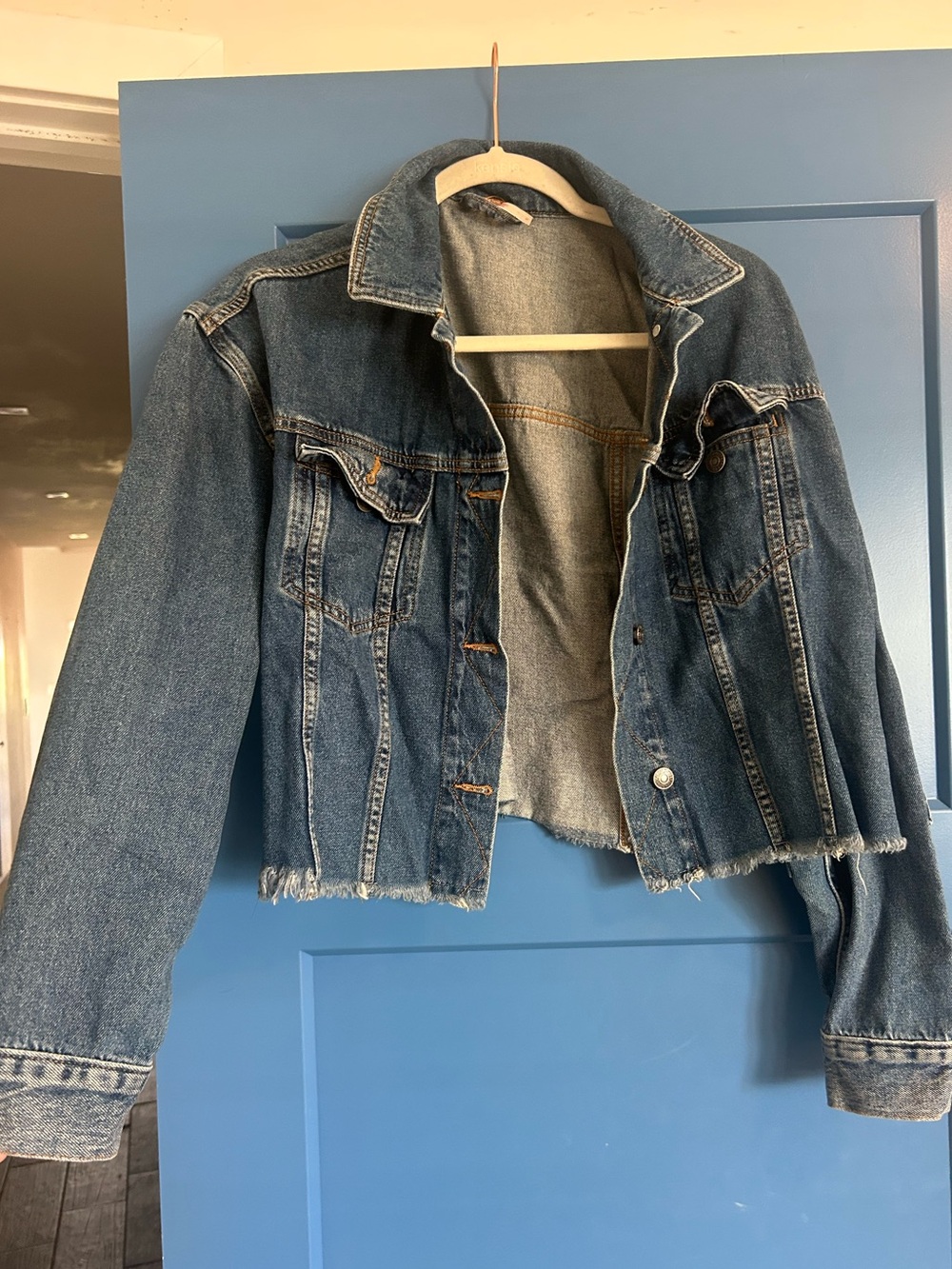 Free People Denim Jacket
